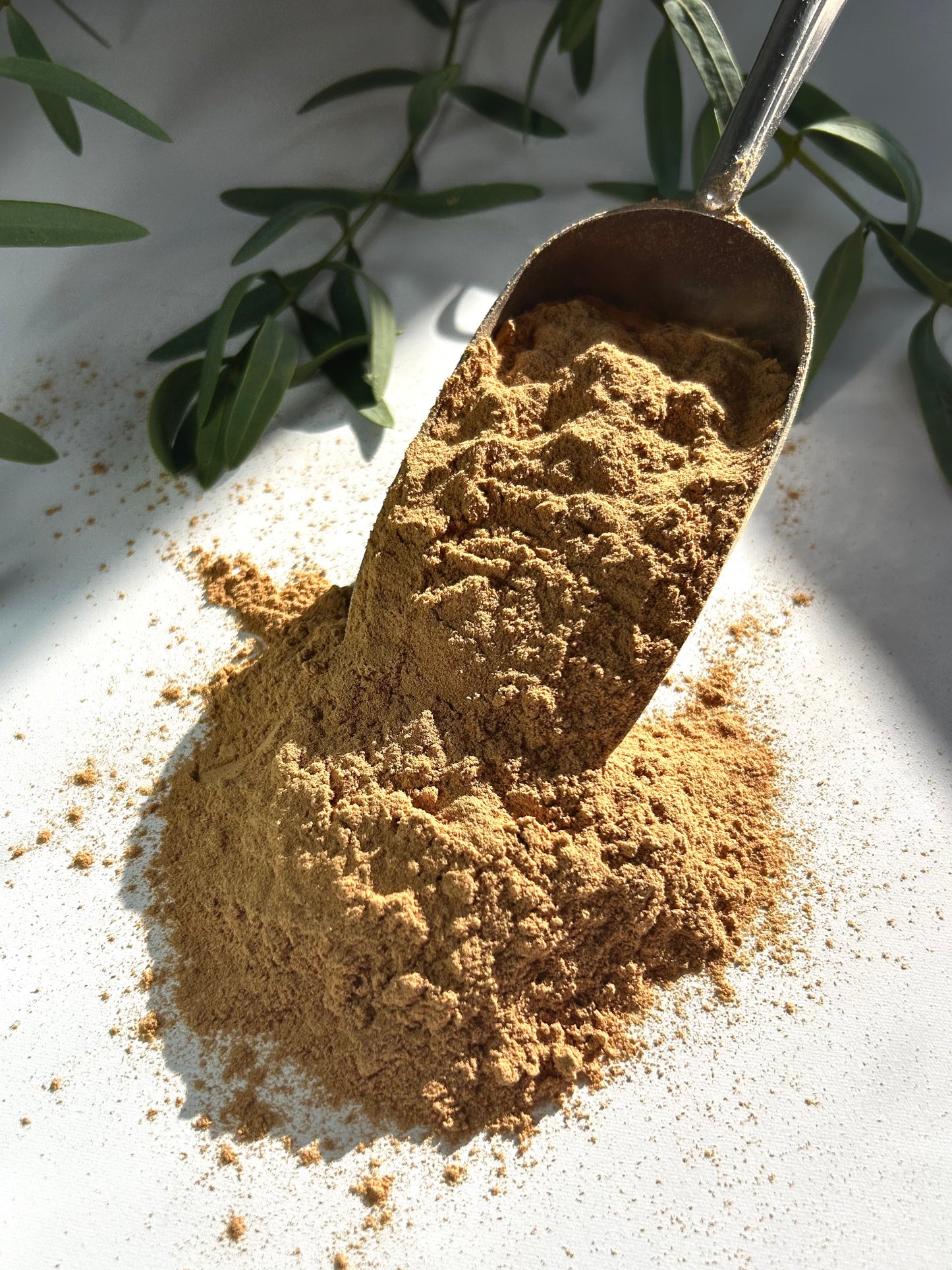 Western Australian Sandalwood Incense Powder