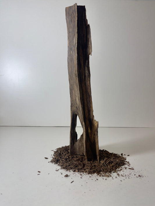 Australian Agarwood Chip 49g
