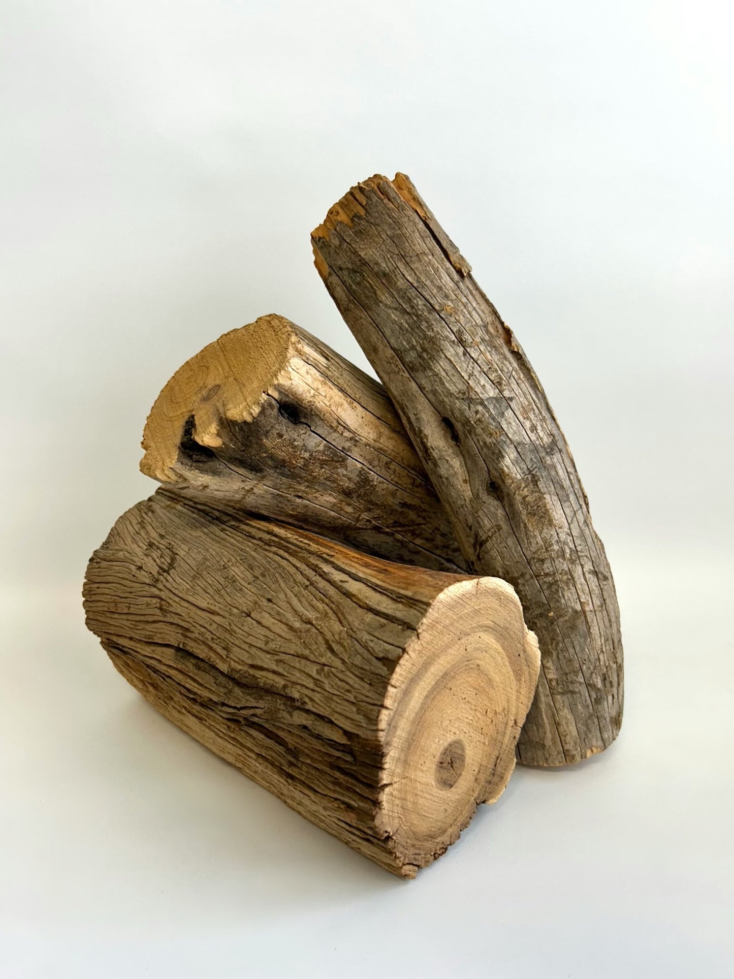 Western Australian Sandalwood Dead Logs