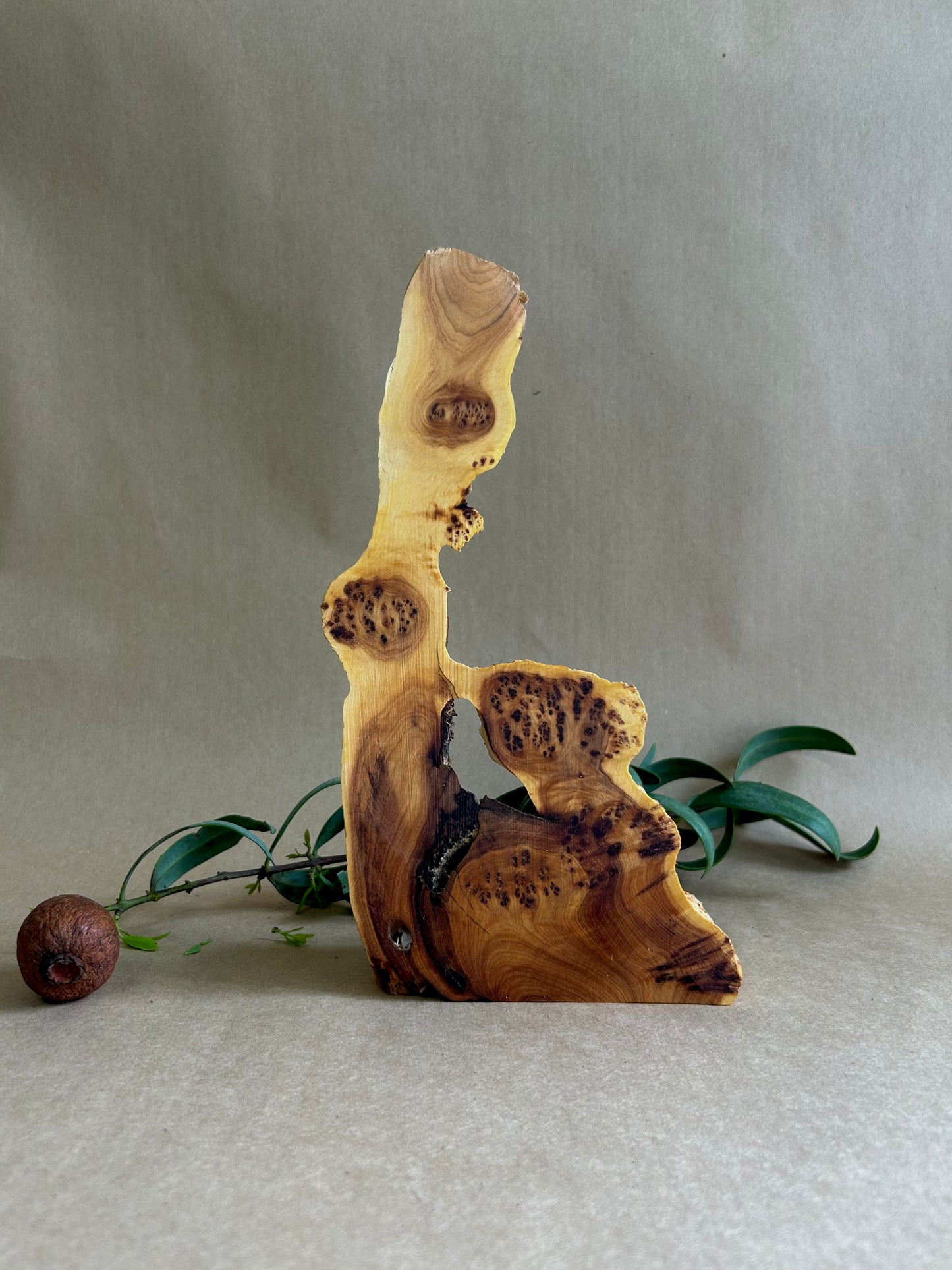 Sandalwood Feature Piece