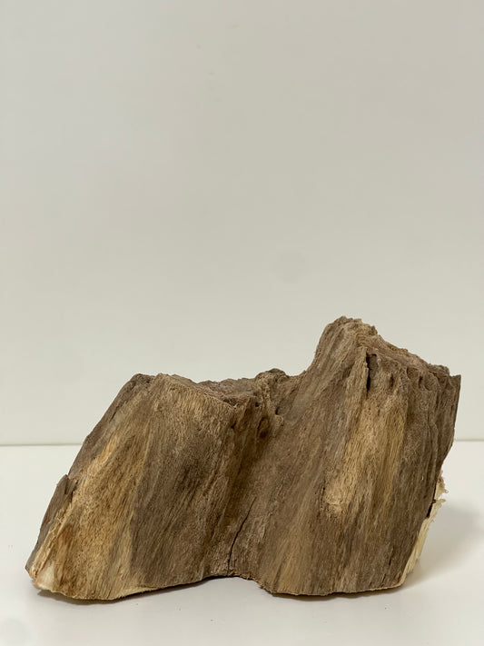 Australian Agarwood Feature Piece